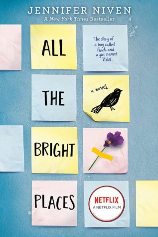 Summer reading suggestion: All The Bright Places