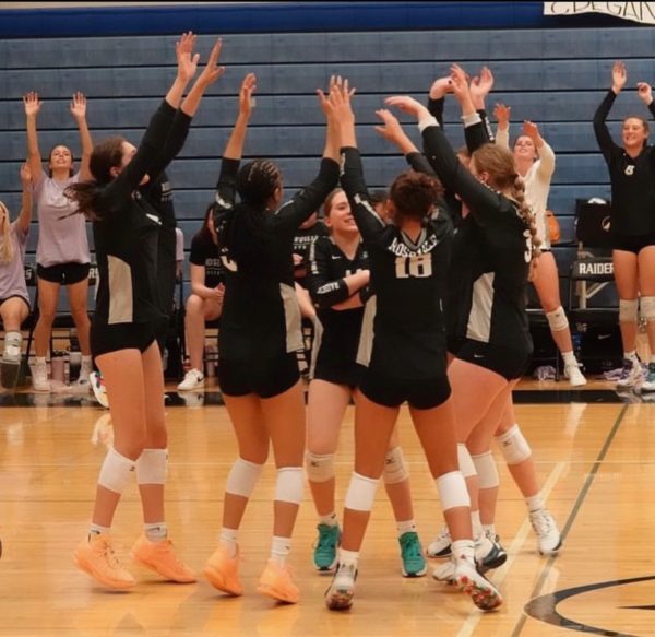 Roseville Girls Volleyball Competes in Section Finals
