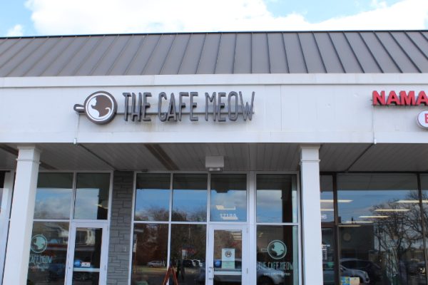 A Purrfect Place to Caffeinate: The Cafe Meow
