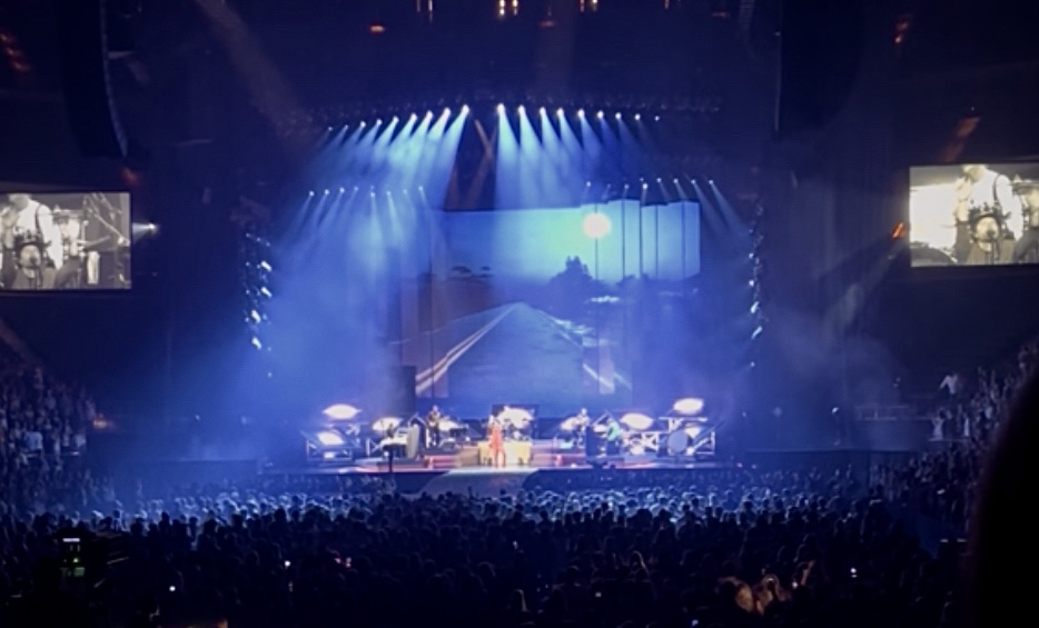 Concert Goers: Beyond The Headphones